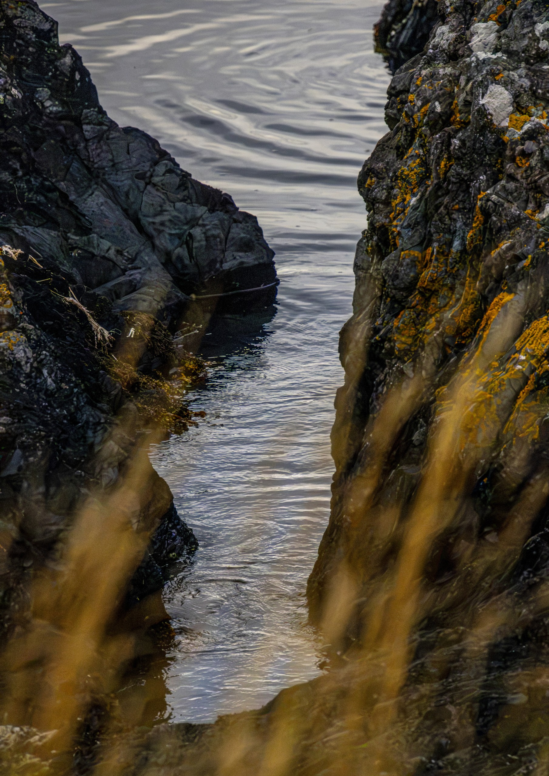 Scenery photography album